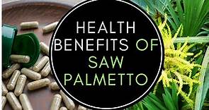 Health Benefits Of Saw Palmetto