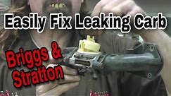 How-To fix a leaking Briggs carburetor: the complete guide