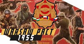 Warsaw Pact: Creation, Structure and Effectiveness - Cold War DOCUMENTARY