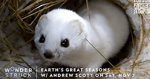‘Earth’s Great Seasons’ w/ Andrew Scott Premieres Sat, Nov 7 | BBC America