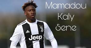 Mamadou Kaly Sene • 2020 • The Wonderkid • Juventus U19