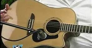 Alvarez PD80 Series Acoustic Guitars