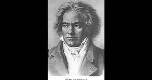 Beethoven - Symphony No. 9 in D minor: Ode to Joy [HQ]