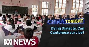 Can the Chinese dialect of Cantonese survive the promotion of Mandarin? | China Tonight | ABC News