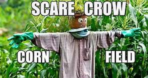 How Scarecrow help the farmers...