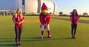 Arizona Cardinals Big Red Muscle Warm-up