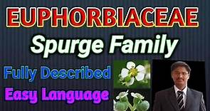 Family Euphorbiaceae (Spurge Family)