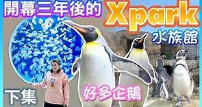 【桃園景點】開幕三年後的「Xpark 水族館」（下集） Taoyuan Taiwan