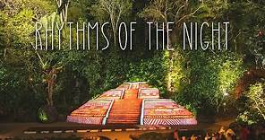 Rhythms Of The Night: INCREDIBLE Puerto Vallarta Dinner Show [Vallarta Adventures]