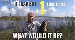 If I had but one lure to fish, what would it be?