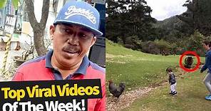 Top 50 Best Viral Videos Of The Month So Far (November 2019 - Wk1)