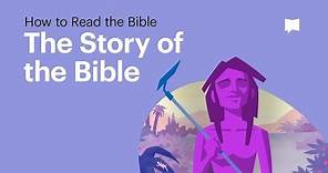 The Story of the Bible • What It's About From Beginning to End
