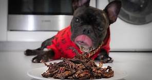HOW TO MAKE HOMEMADE JERKY TREATS For Your Dog With An OVEN