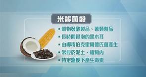 無綫新聞 TVB News - 「#米酵菌酸」這種毒素，在常見食材例如 #米飯、#黑木耳...