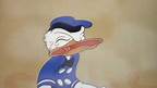 Donald Duck Sneeze