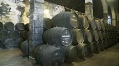 Sherry Wine of Andalucía