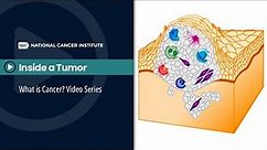 Inside a Tumor: What is Cancer? Video Series