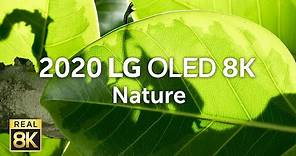 2020 LG OLED 8K l Nature 8K HDR 60fps