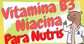 ¿Qué es la Niacina y para qué sirve? / Vitamina B3 en Nutrición