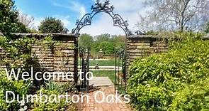 Welcome to Dumbarton Oaks Museum & Gardens