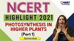 Photosynthesis in Higher Plants - 1 | NCERT Highlights | NEET Biology | Garima Goel