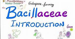 Introduction to Bacillaceae (Bacillus anthracis and Bacillus cereus) | Microbiology 🧫