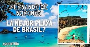 Viaje a Fernando de NORONHA : la mejor playa de BRASIL ? l Noronha #1