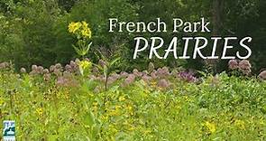 Discover French Park's Prairies - Peek At The Parks