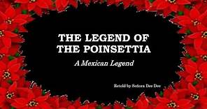 Las Posadas and The Legend of the Poinsettia