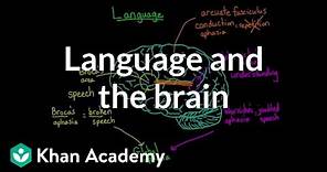 Language and the brain: Aphasia and split-brain patients | MCAT | Khan Academy