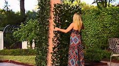 Compass Home Expandable Faux Ivy Privacy Fence on QVC