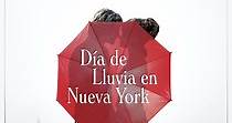 Día de lluvia en Nueva York - película: Ver online