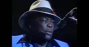 John Lee Hooker, James Cotton, Koko Taylor .... The living legends of blues (montreal)