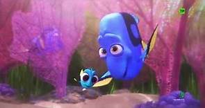 Buscando a Dory | Escena: 'Baby Dory' | Disney · Pixar Oficial