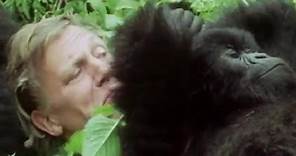 Your Favourite Sir David Attenborough Moments! #AttenboroughWeek | BBC Earth