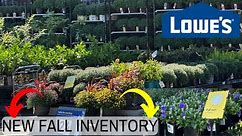 LOWE’ S FALL INVENTORY | PERENNIALS | EVERGREEN TREES SHRUBS | FRUIT TREES #LOWES