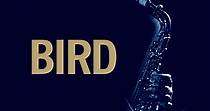 Bird - película: Ver online completa en español