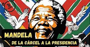 Nelson Mandela: Biografía