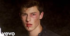Shawn Mendes - Stitches (Official Music Video) - YouTube Music