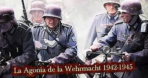 El Ocaso del Ejército Alemán en la Segunda Guerra Mundial: Las Claves de su Derrota