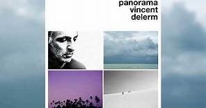 Vincent Delerm - Panorama