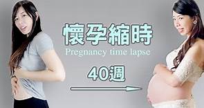 恩媽懷孕 0到40週 縮時全紀錄 pregnancy time lapse-恩恩老師@EanTV