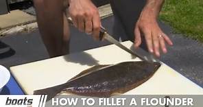 How to Fillet a Flounder: Instructional Video