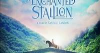 Película: Albion: The Enchanted Stallion