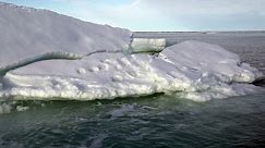 Arctic transitioning to new climate: Researchers