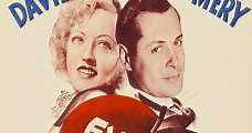 Ever Since Eve (1937) Online - Película Completa en Español / Castellano - FULLTV