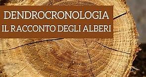 Dendrocronologia, cosa può raccontare un albero?