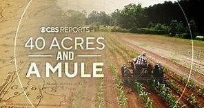 40 Acres and a Mule | CBS Reports