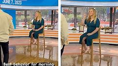 Amy Schumer makes inappropriate gesture on the 'Today' show set