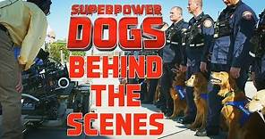 Filming Cosmic Picture’s 3D IMAX original movie: Superpower Dogs